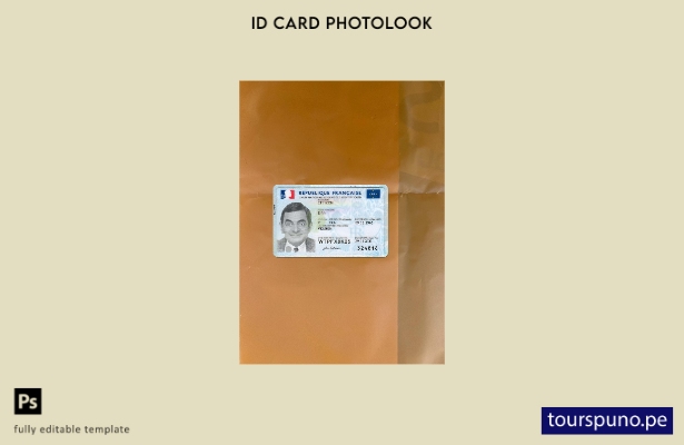 listo para imprimir Tarjeta de identificación de Francia versión actual plantill